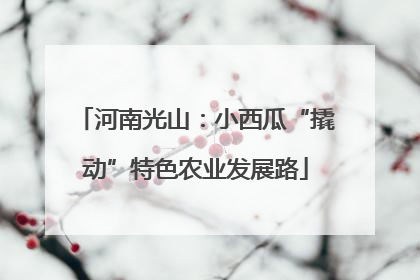 河南光山：小西瓜“撬动”特色农业发展路