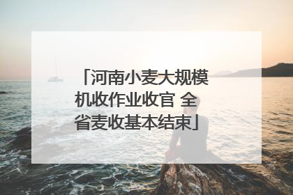河南小麦大规模机收作业收官 全省麦收基本结束