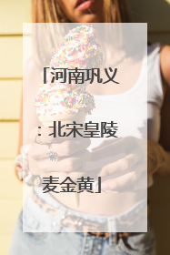 河南巩义:北宋皇陵麦金黄