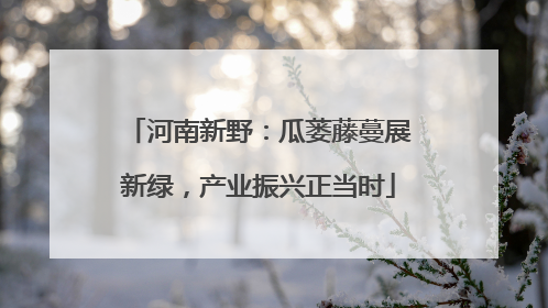 河南新野：瓜蒌藤蔓展新绿，产业振兴正当时