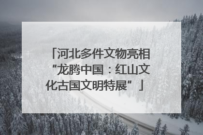 河北多件文物亮相“龙腾中国：红山文化古国文明特展”