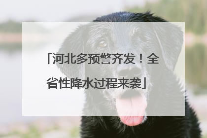 河北多预警齐发！全省性降水过程来袭