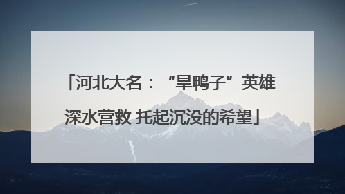 河北大名：“旱鸭子”英雄深水营救 托起沉没的希望