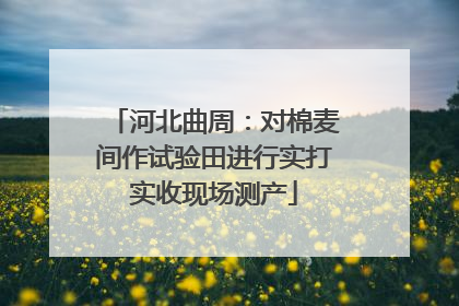 河北曲周：对棉麦间作试验田进行实打实收现场测产