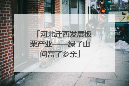 河北迁西发展板栗产业——绿了山间富了乡亲