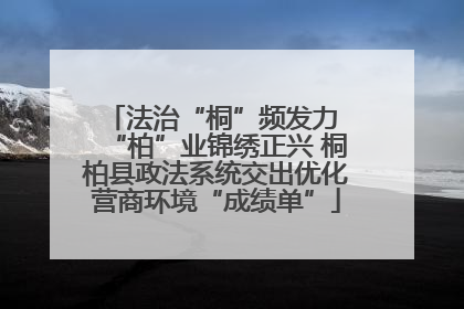 法治“桐”频发力 “柏”业锦绣正兴 桐柏县政法系统交出优化营商环境“成绩单”