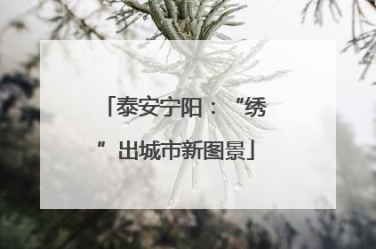 泰安宁阳：“绣”出城市新图景