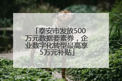 泰安市发放500万元数据要素券，企业数字化转型最高享5万元补贴