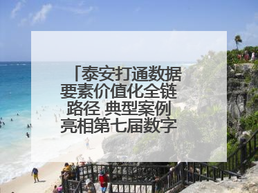 泰安打通数据要素价值化全链路径 典型案例亮相第七届数字中国建设峰会
