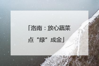 洛南：放心蔬菜点“绿”成金