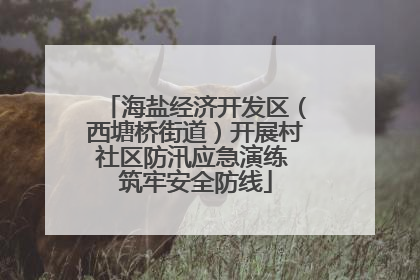 海盐经济开发区（西塘桥街道）开展村社区防汛应急演练 筑牢安全防线