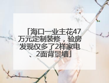 海口一业主花47万元定制装修，验房发现仅多了2样家电、2面背景墙
