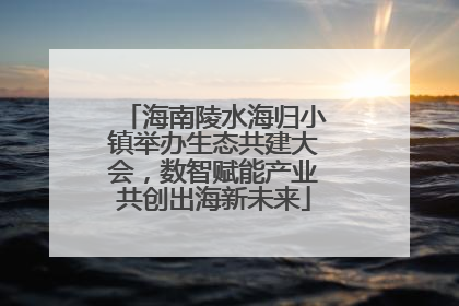 海南陵水海归小镇举办生态共建大会，数智赋能产业共创出海新未来