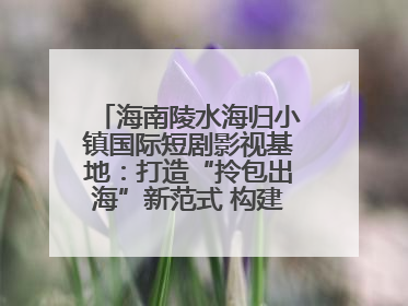 海南陵水海归小镇国际短剧影视基地：打造“拎包出海”新范式 构建全球影视产业“新热土”