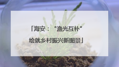 海安：“渔光互补” 绘就乡村振兴新图景