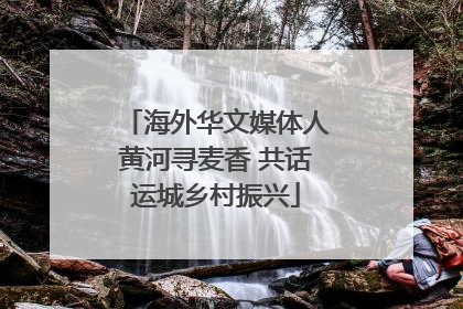 海外华文媒体人黄河寻麦香 共话运城乡村振兴