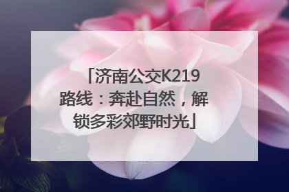 济南公交K219路线：奔赴自然，解锁多彩郊野时光