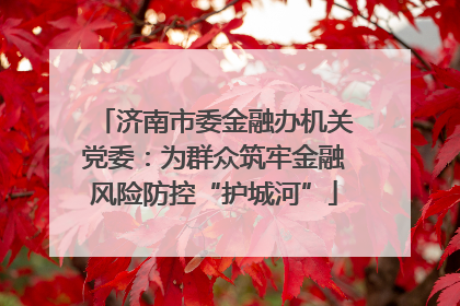 济南市委金融办机关党委：为群众筑牢金融风险防控“护城河”