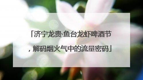 济宁龙贵·鱼台龙虾啤酒节，解码烟火气中的流量密码
