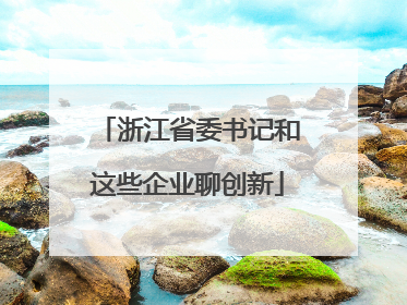浙江省委书记和这些企业聊创新