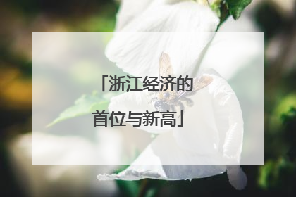 浙江经济的首位与新高