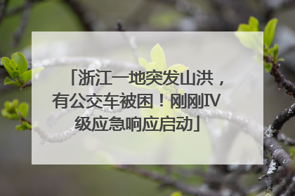浙江一地突发山洪，有公交车被困！刚刚Ⅳ级应急响应启动