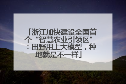 浙江加快建设全国首个“智慧农业引领区”：田野用上大模型，种地就是不一样
