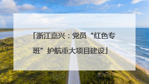 浙江嘉兴：党员“红色专班”护航重大项目建设