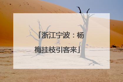 浙江宁波：杨梅挂枝引客来