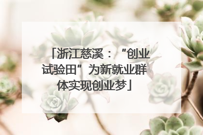浙江慈溪：“创业试验田”为新就业群体实现创业梦