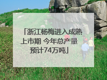 浙江杨梅进入成熟上市期 今年总产量预计74万吨