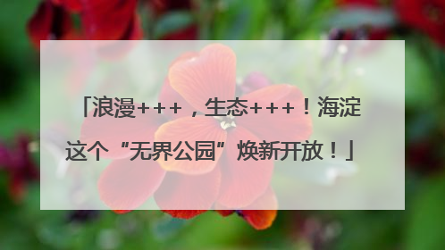 浪漫+++，生态+++！海淀这个“无界公园”焕新开放！