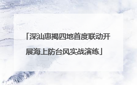 深汕惠揭四地首度联动开展海上防台风实战演练