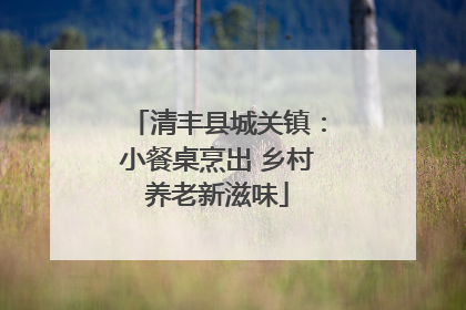 清丰县城关镇：小餐桌烹出 乡村养老新滋味