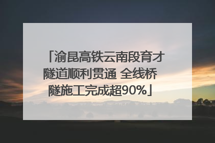 渝昆高铁云南段育才隧道顺利贯通 全线桥隧施工完成超90%