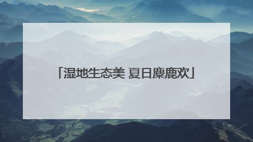 湿地生态美 夏日麋鹿欢