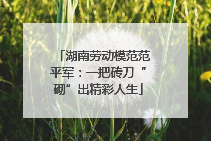 湖南劳动模范范平军：一把砖刀“砌”出精彩人生