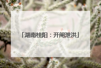 湖南桂阳：开闸泄洪