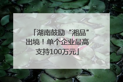 湖南鼓励“湘品”出境！单个企业最高支持100万元
