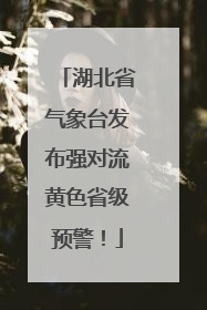 湖北省气象台发布强对流黄色省级预警！
