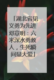 湖北省见义勇为先进邓章明：六米深水勇救人，生死瞬间显大爱