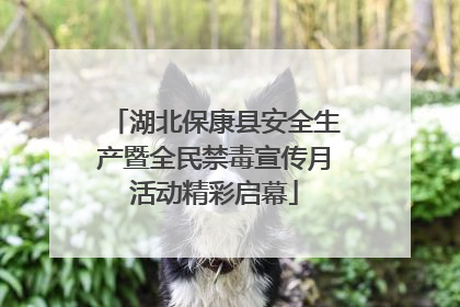 湖北保康县安全生产暨全民禁毒宣传月活动精彩启幕