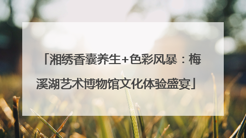 湘绣香囊养生+色彩风暴：梅溪湖艺术博物馆文化体验盛宴