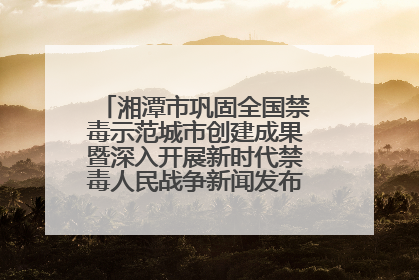 湘潭市巩固全国禁毒示范城市创建成果暨深入开展新时代禁毒人民战争新闻发布会答记者问摘录