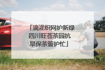 滴灌织网护新绿 四川旺苍茶园抗旱保茶管护忙