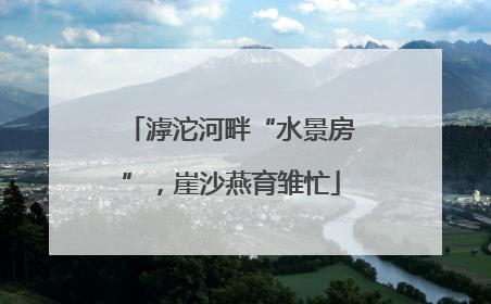 滹沱河畔“水景房”，崖沙燕育雏忙