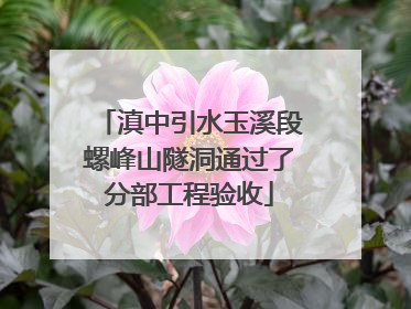 滇中引水玉溪段螺峰山隧洞通过了分部工程验收