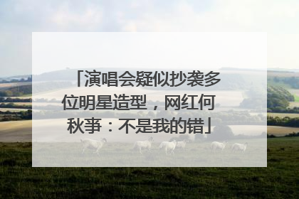 演唱会疑似抄袭多位明星造型，网红何秋亊：不是我的错