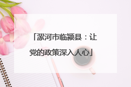 漯河市临颍县：让党的政策深入人心