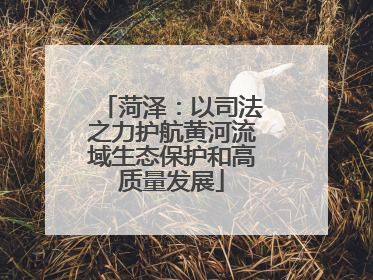 菏泽：以司法之力护航黄河流域生态保护和高质量发展